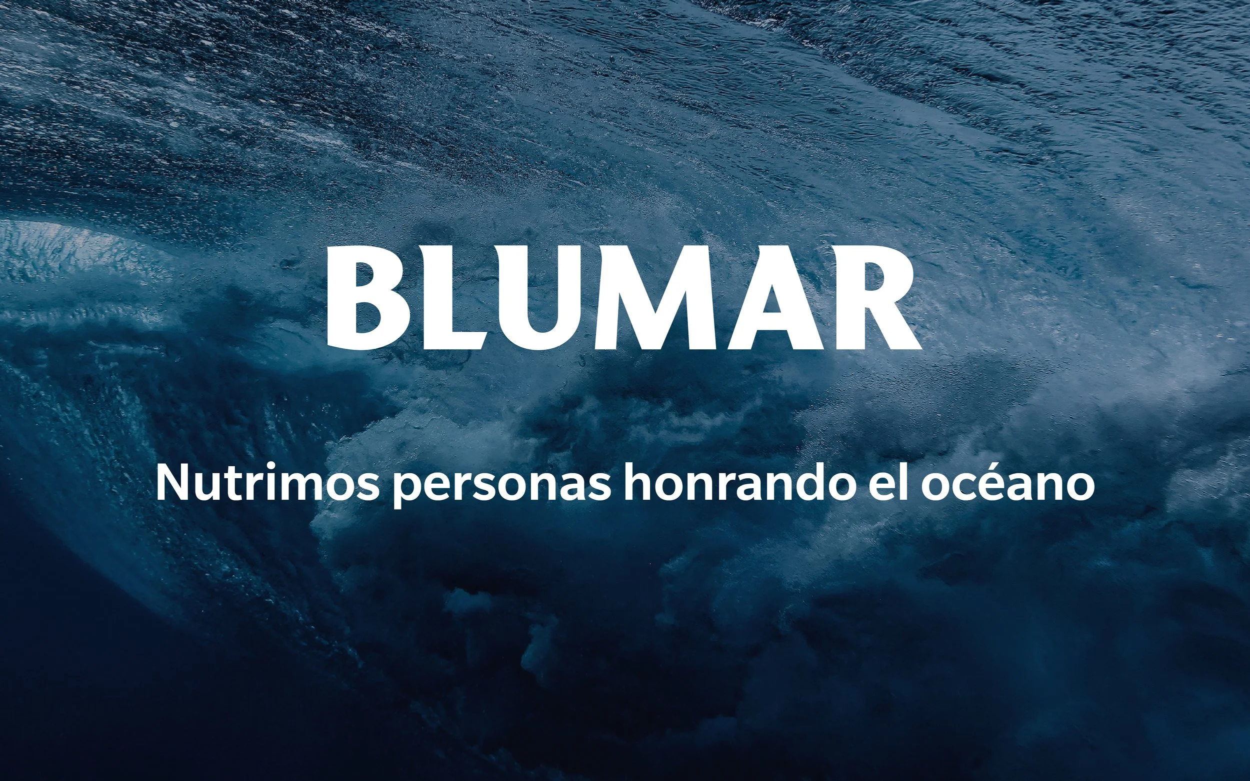 BE-Blumar2.jpeg