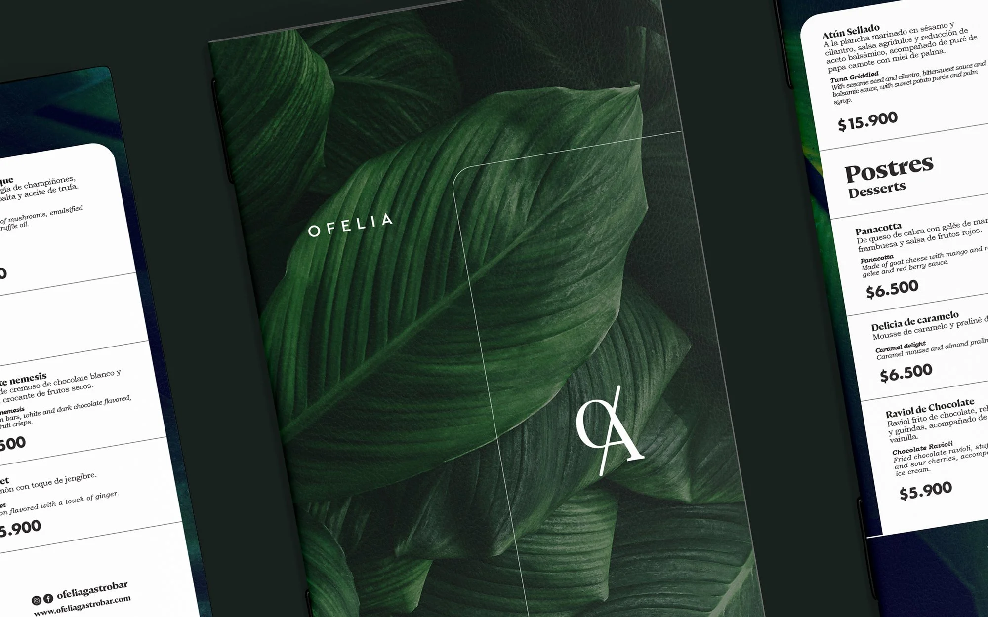 HELLO THE AGENCY BOOK 6.jpg