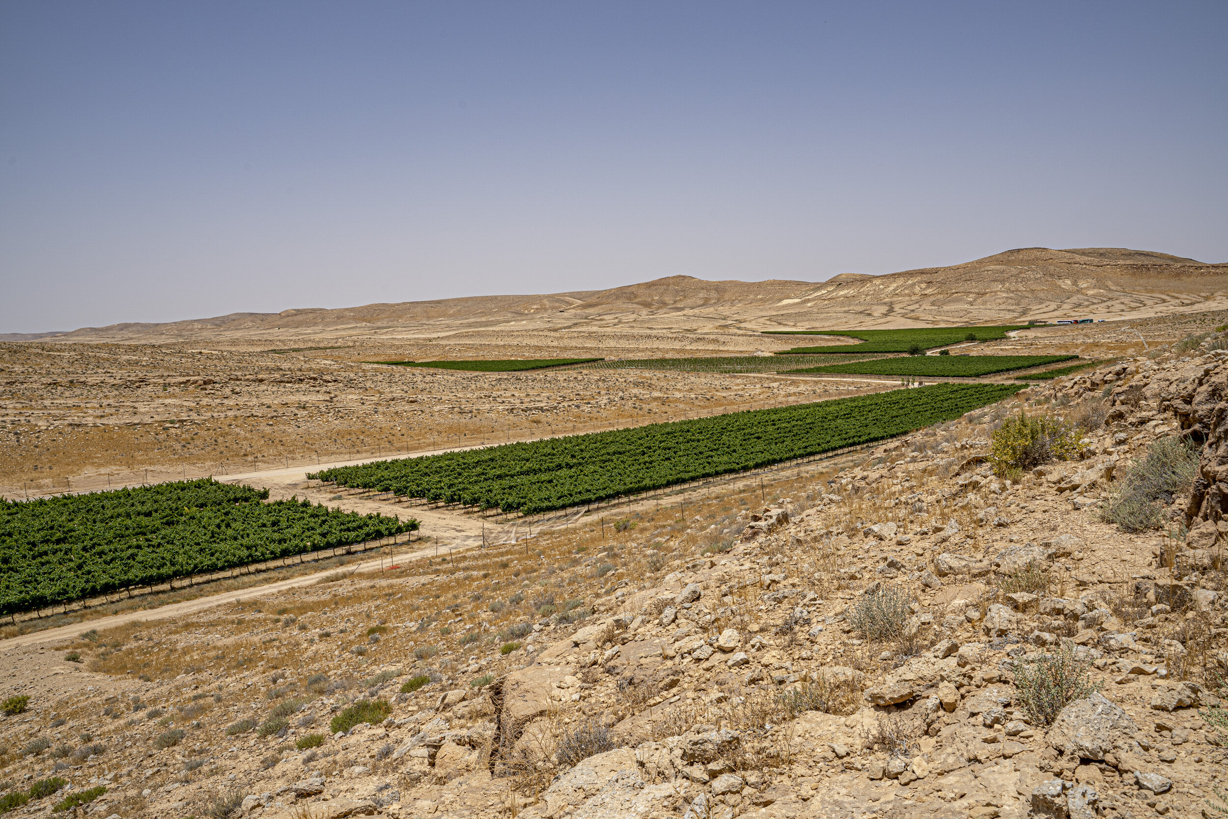 Extreme Obsession – Wine