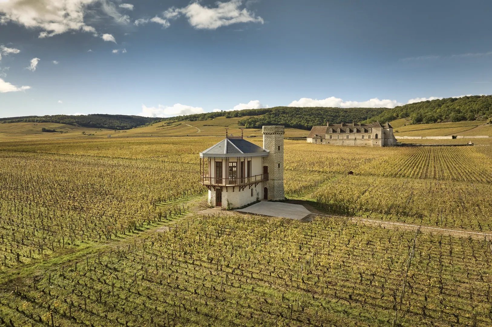 How to Enjoy Unique Luxury Stay in the Middle of a Grand Cru Burgundy Vineyard