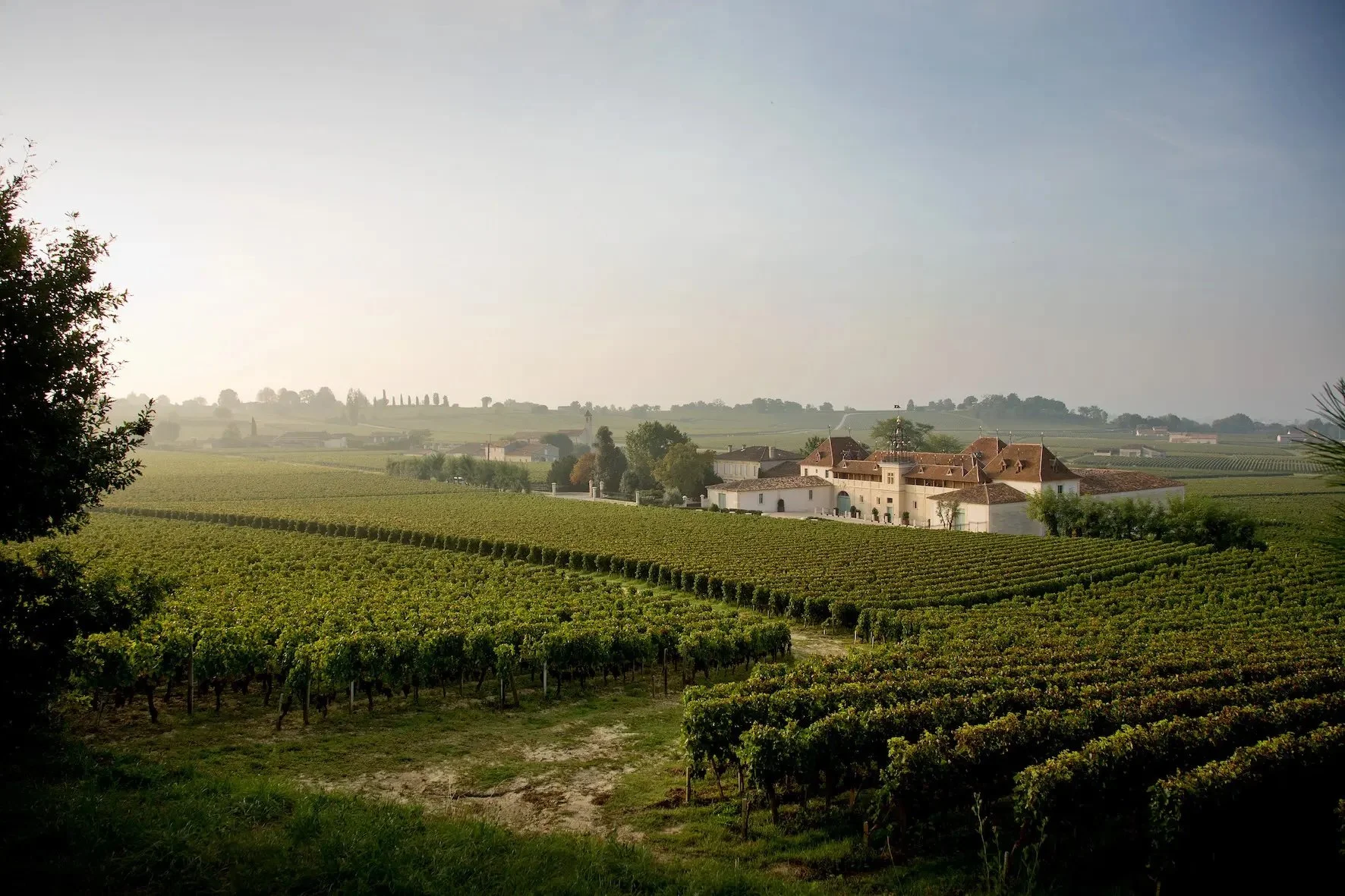 Château Angelus Enters a New Chapter—Meet its New CEO