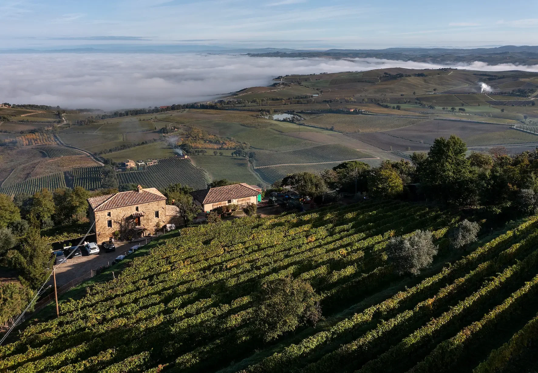 How Il Marroneto Become the Northern Star of Brunello di Montalcino