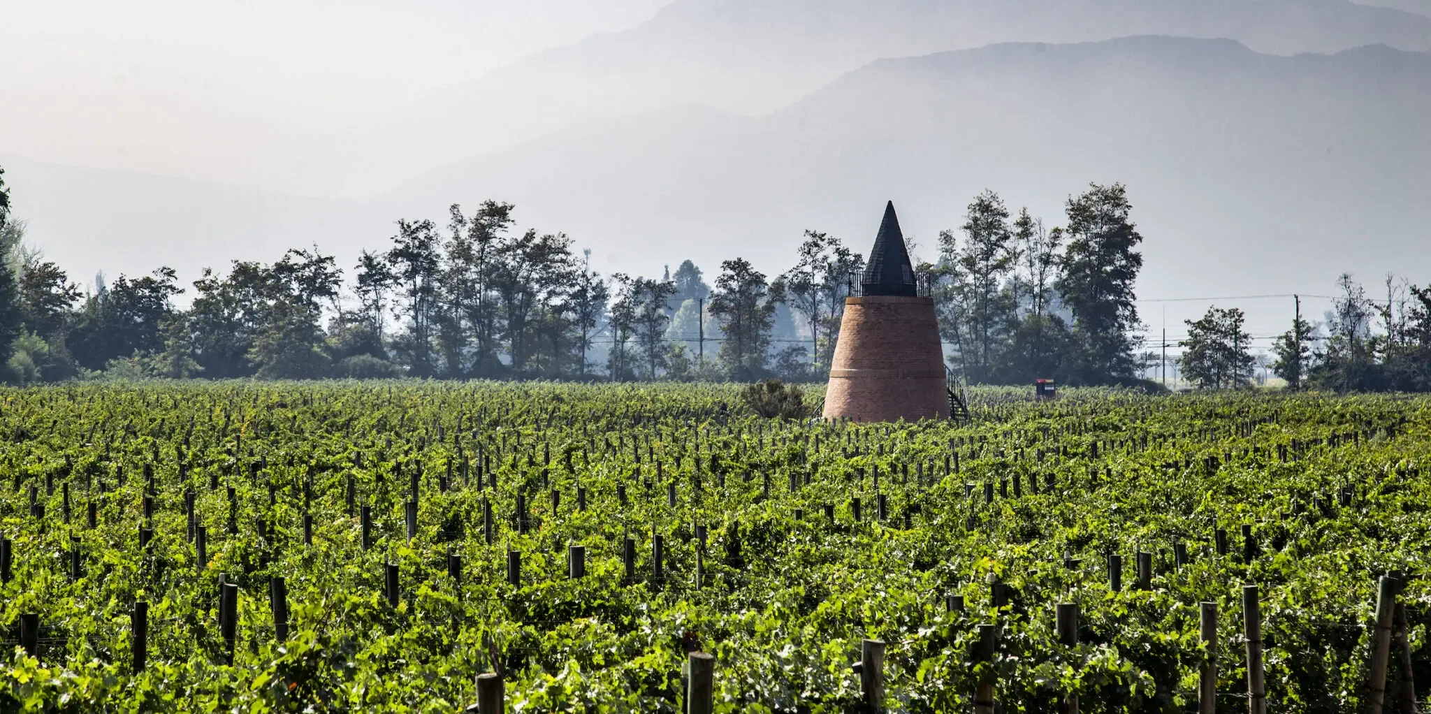 The Composer, the Coup and the Sacred Stone: Inside Piedra Sagrada, Chile’s Most Singular Cabernet
