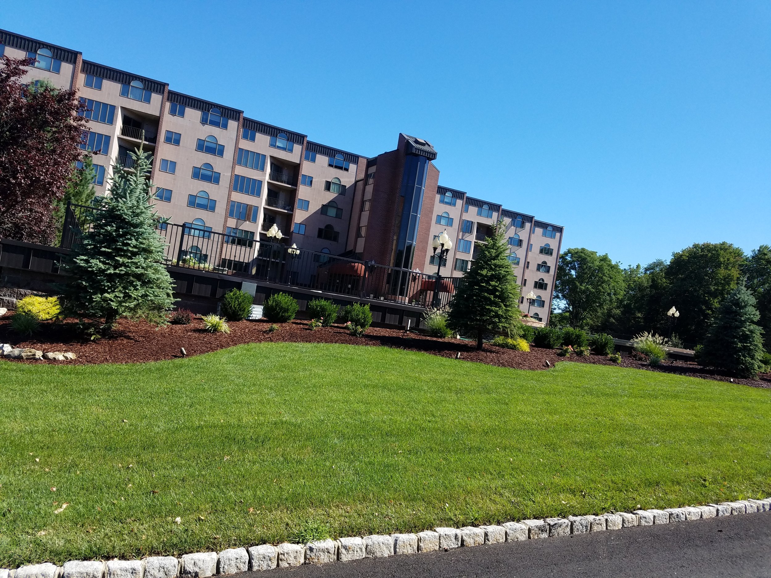 How Commercial Lawn Care Transforms Business Landscapes in Short Hills and Saddle River, NJ