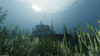 Rust Console Community Servers — Rust Console Edition