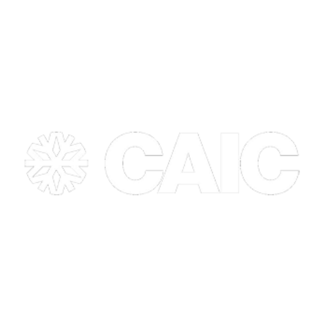 CAIC-Logo-4web.png