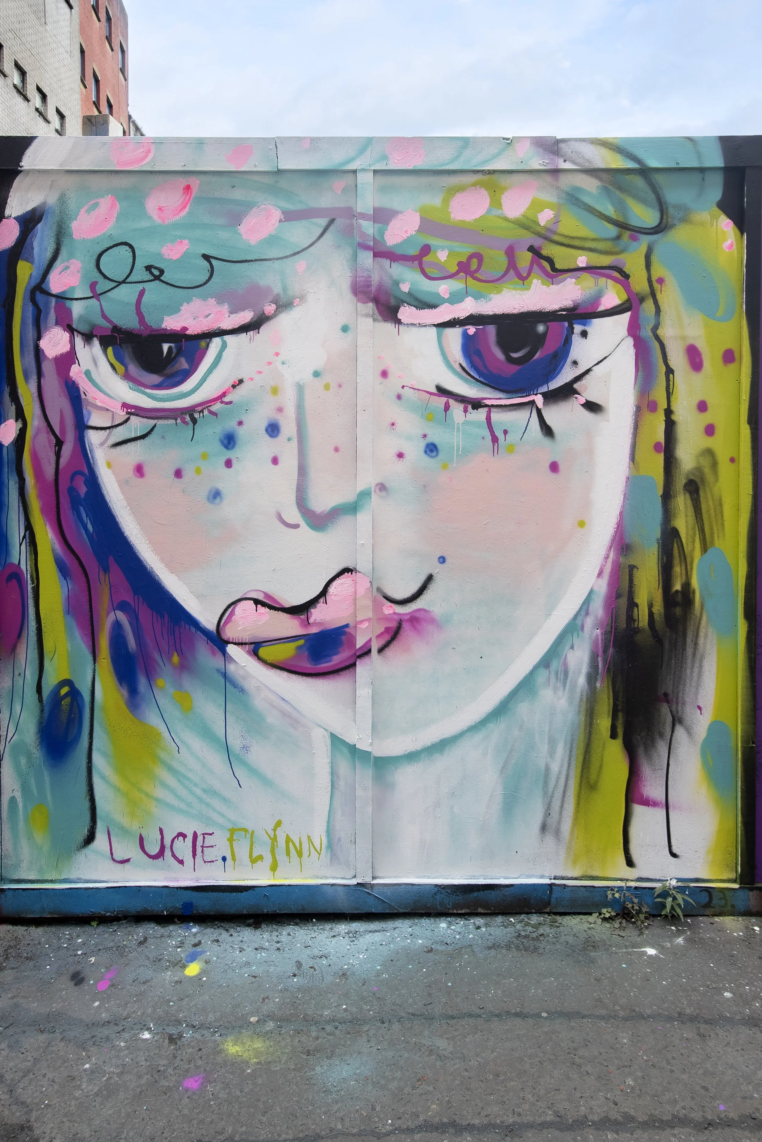 HTN24_LUCIE FLYNN_STREETARTATLAS_DSC6560.jpg