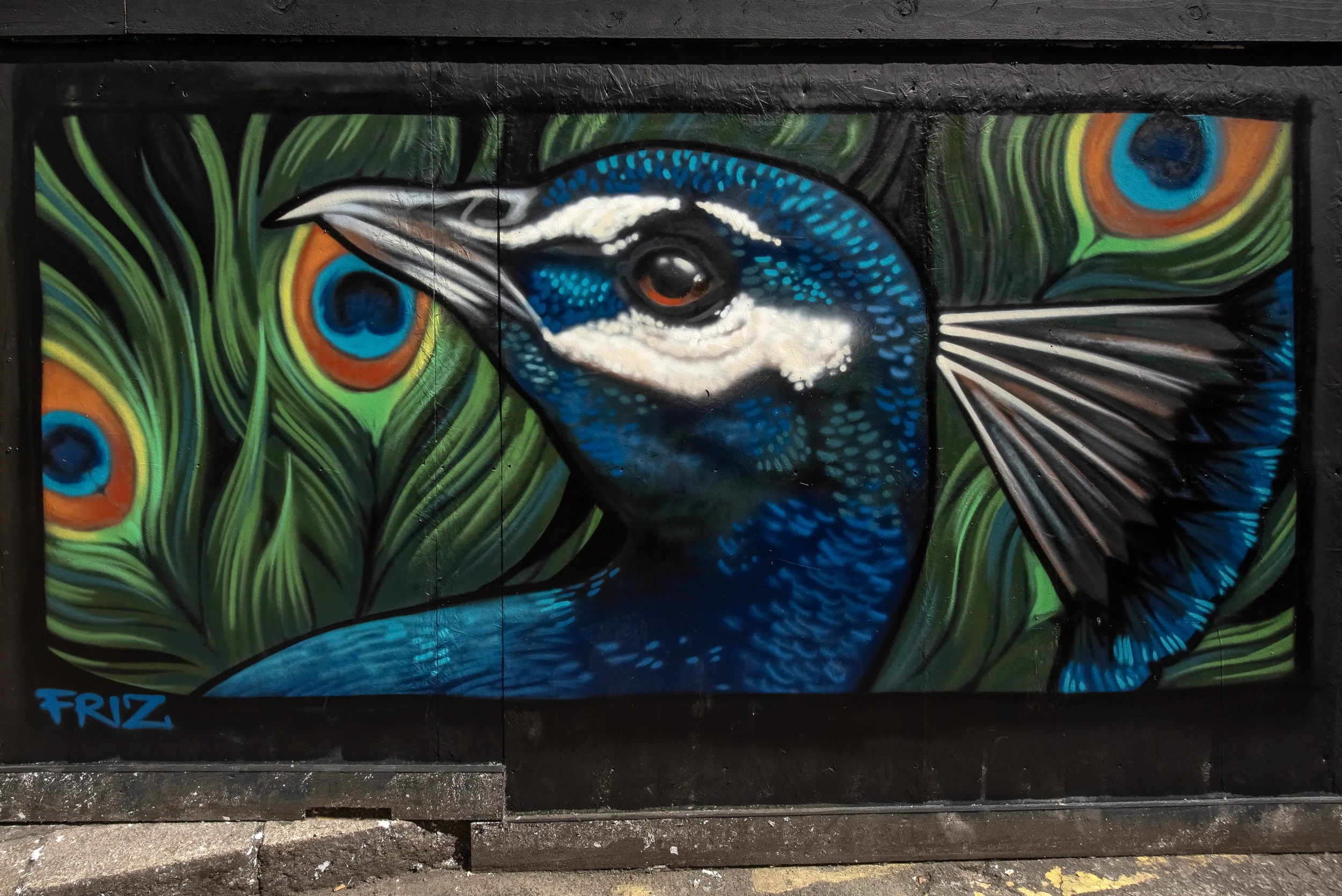 FRIZ SPORTS BAR_HTN 25_STREET ART ATLAS_DSC5131.jpg