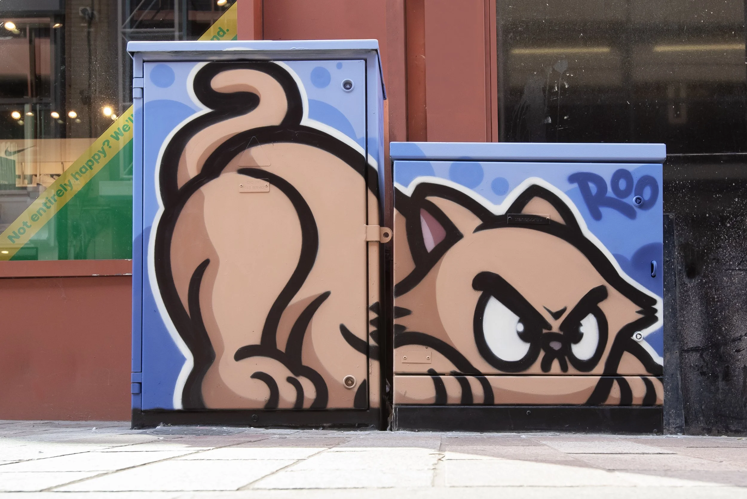 ROO_ELECTRIC BOX_HTN25_STREET ART ATLAS_DSC5162.jpg