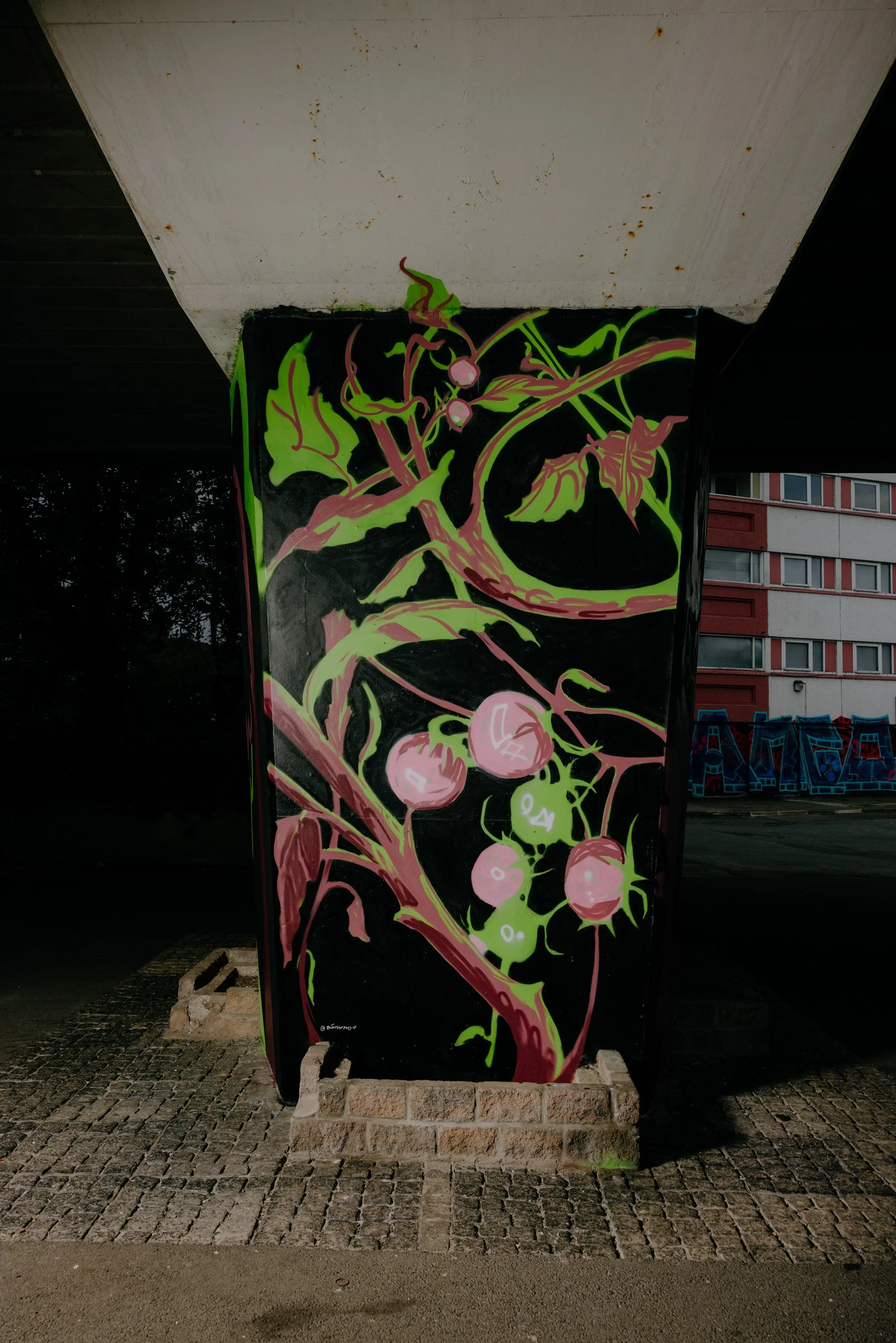 Kate Donaldson Photography-- wip final pieces-42.jpg