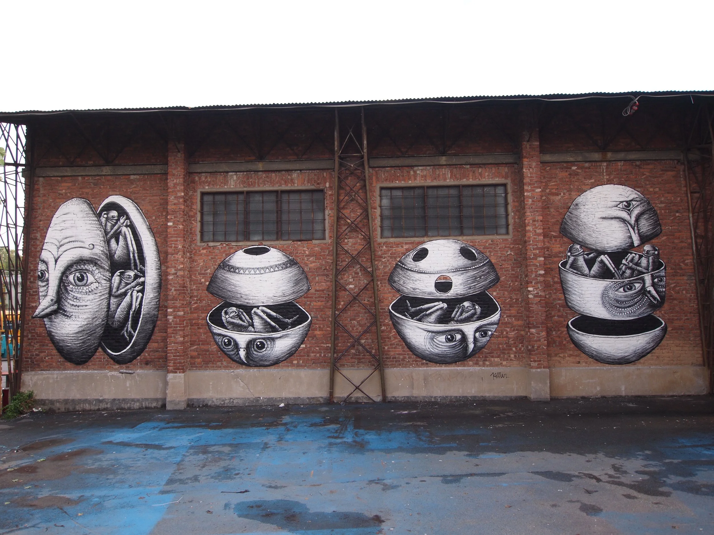 P9044034 - p Phlegm.JPG