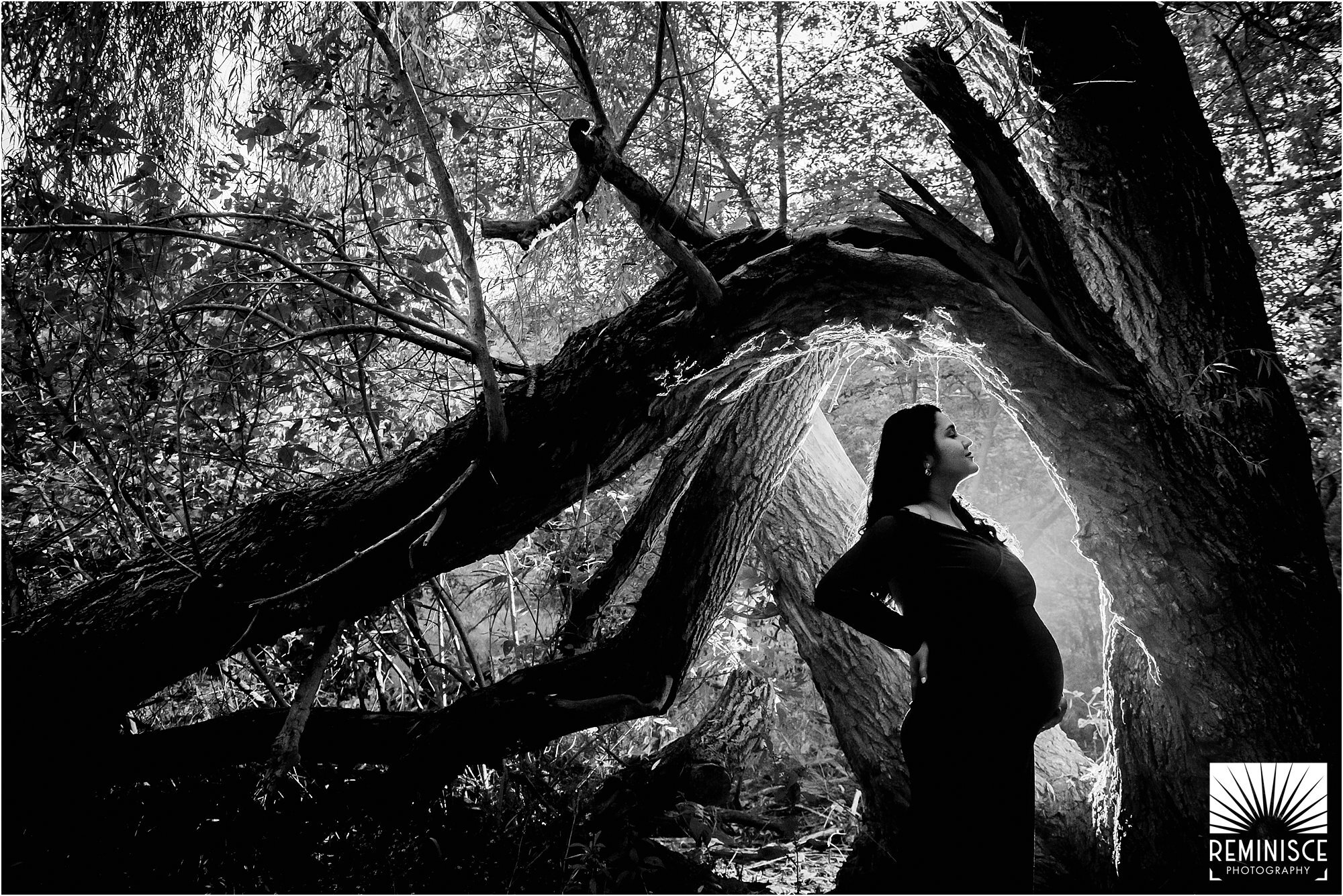 10-evening-dusk-sunset-nighttime-golden-hour-maternity-photos-riverside-park-milwaukee-dramatic-moody-black-and-white-portrait-fallen-tree.jpg