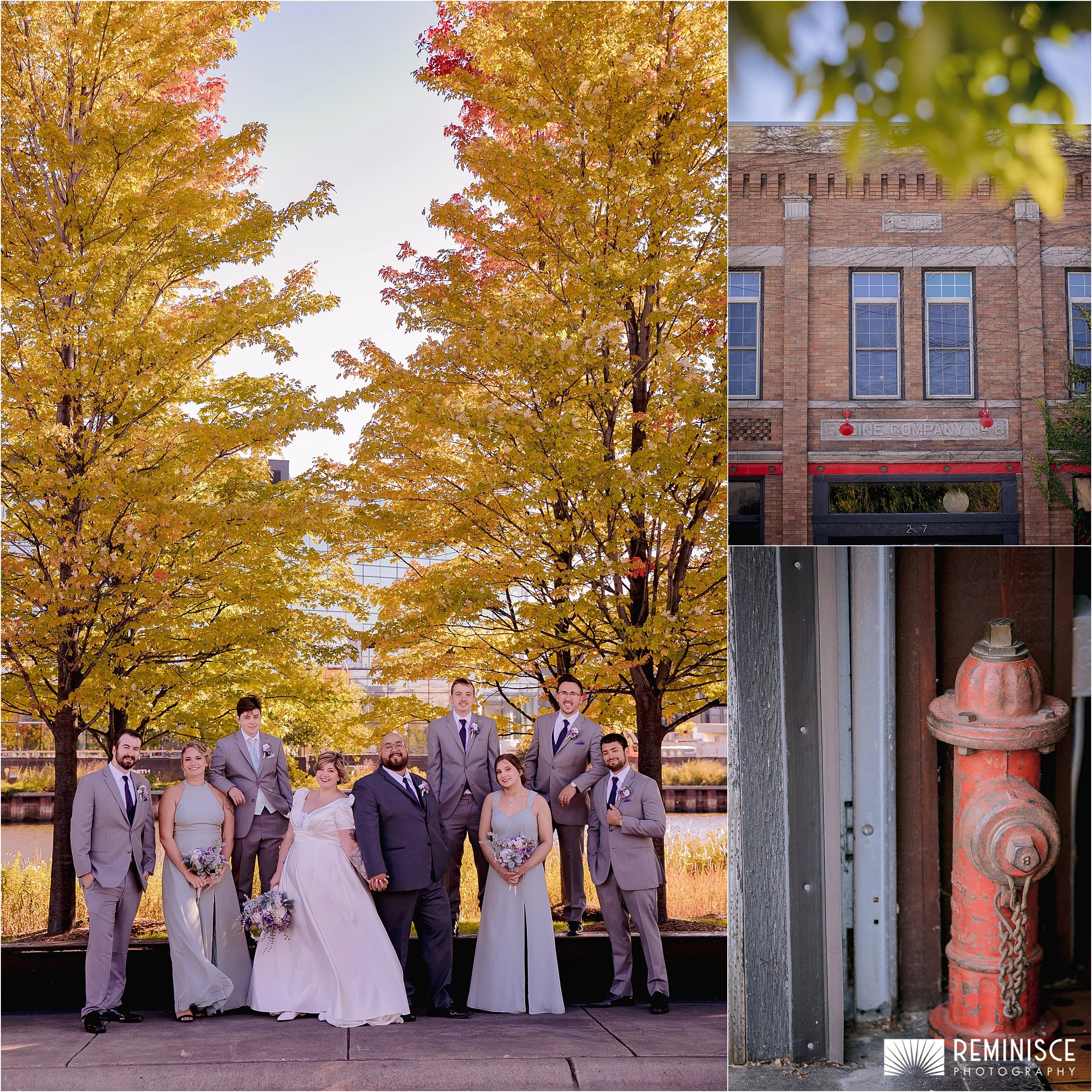 12-bridal-party-yellow-leaves-tall-trees.JPG