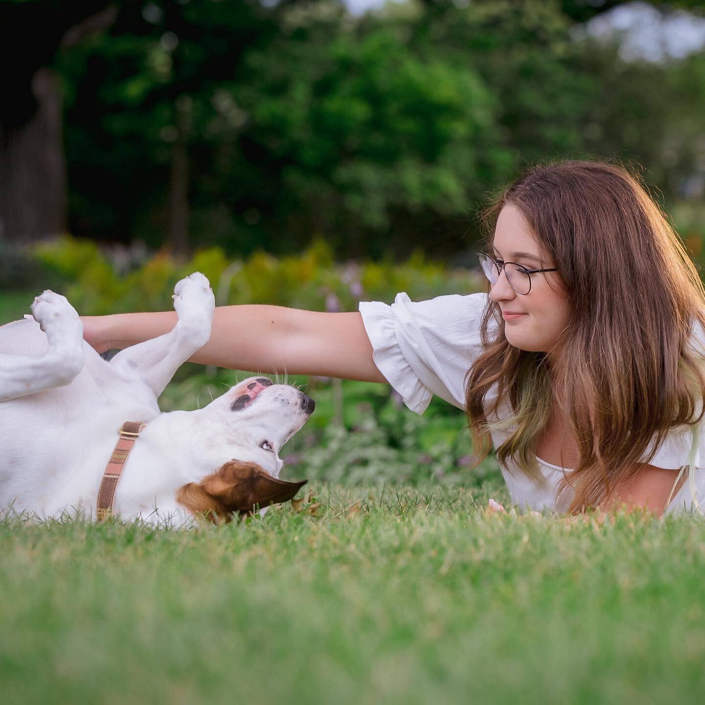 Weekend vibes. Belly rubs are the best!

#milwaukeedog #milwaukeephotographer #rescuedog #bellyrubs #doglove  #dogphotography #mke #summer