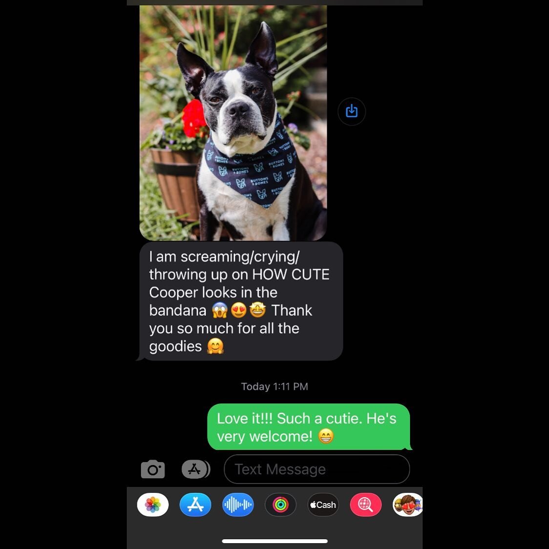 Awww, look! 👀@brucecooperwayne sent us a selfie in his Buttons &amp; Bones swag today! He&rsquo;s rockin&rsquo; that bandanna! 😍 Can&rsquo;t wait to share his photos soon!

#doggieswag #milwaukeedog #mke #dogphotography #milwaukeephotographer #behi