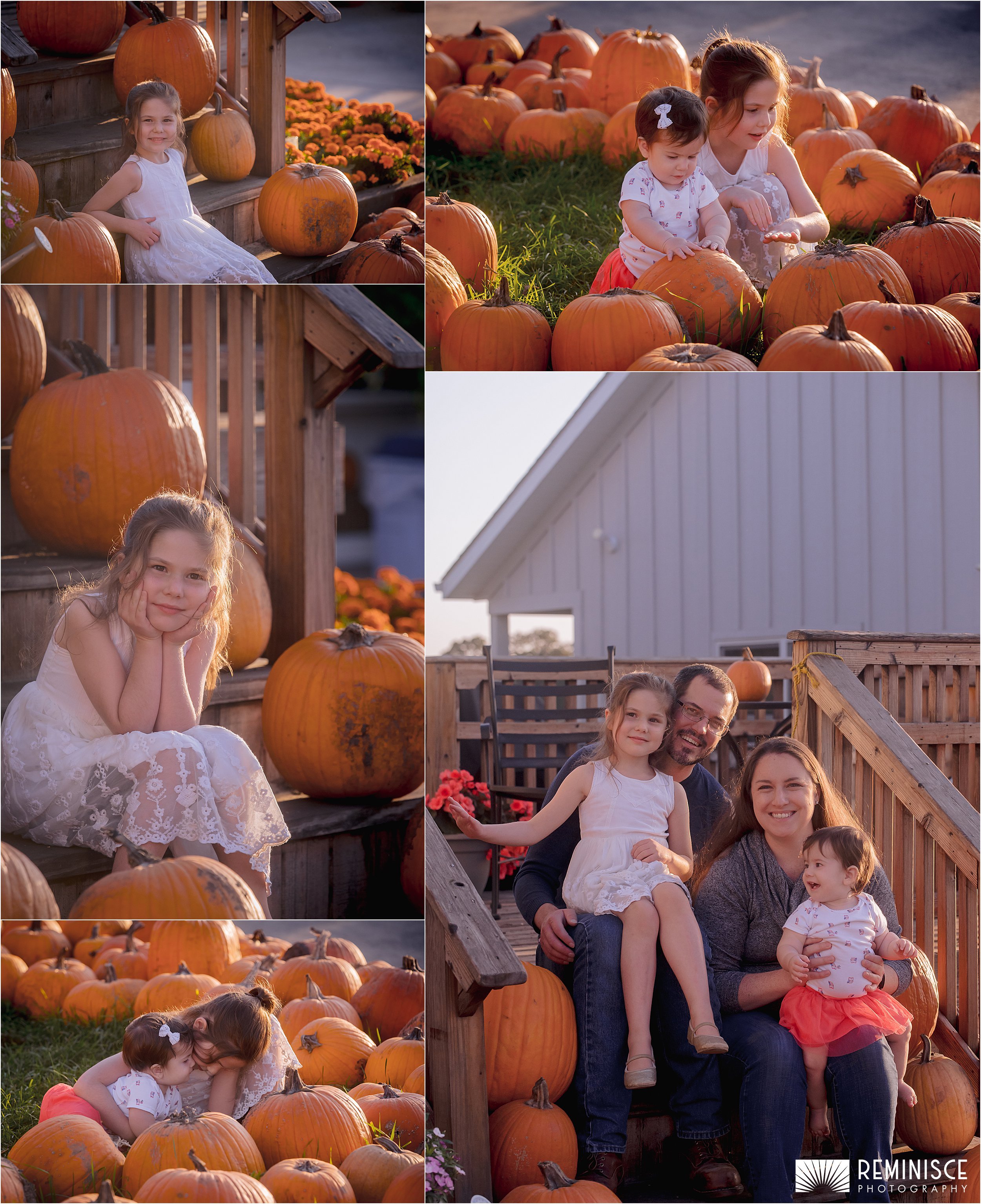 04-fun-pumpkin-farm-family-photos-golden-hour.JPG