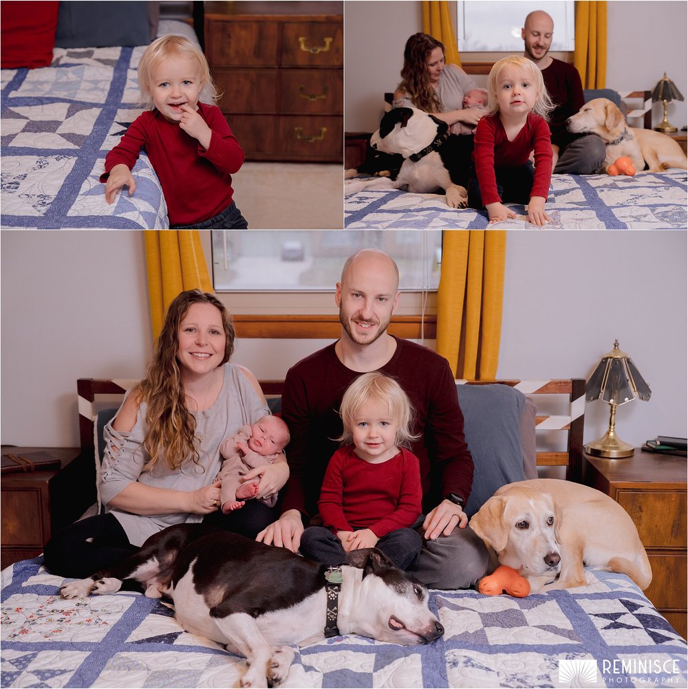 01-at-home-cozy-newborn-photos-family-dogs-christmas.JPG