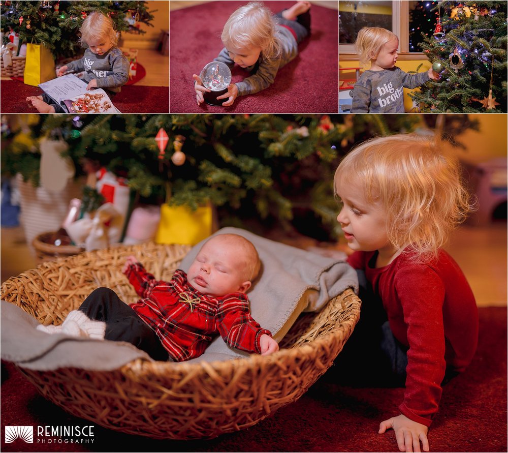 07-at-home-cozy-newborn-photos-family-dogs-christmas.JPG