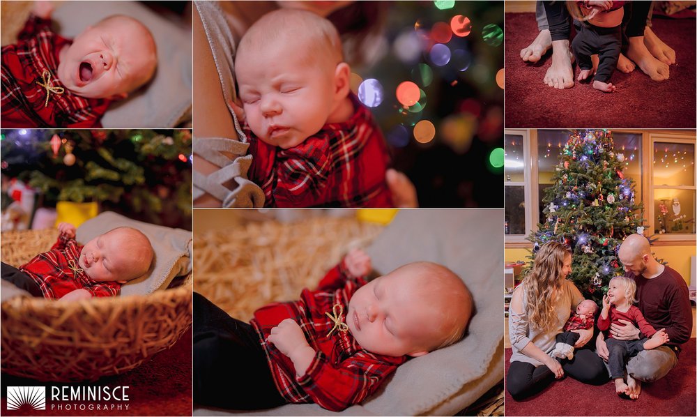 07a-at-home-cozy-newborn-photos-family-dogs-christmas.JPG