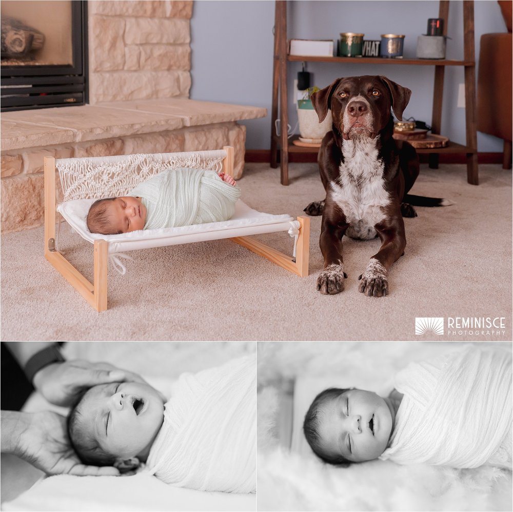 02-cozy-relaxed-at-home-newborn-mom-dad-dogs-photoshoot.JPG