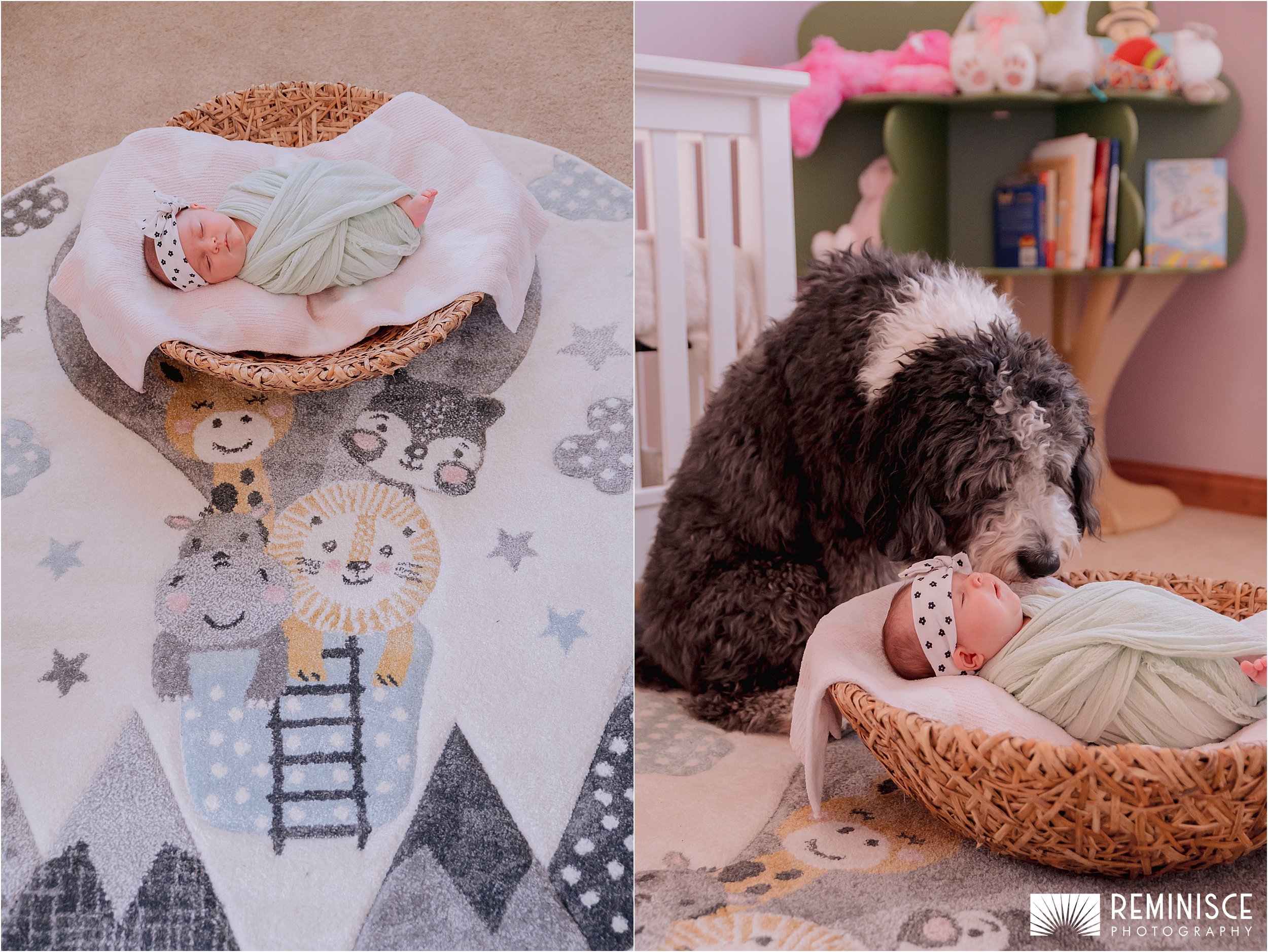 01-warm-cozy-artistic-at-home-newborn-session-mom-dad-dog.JPG