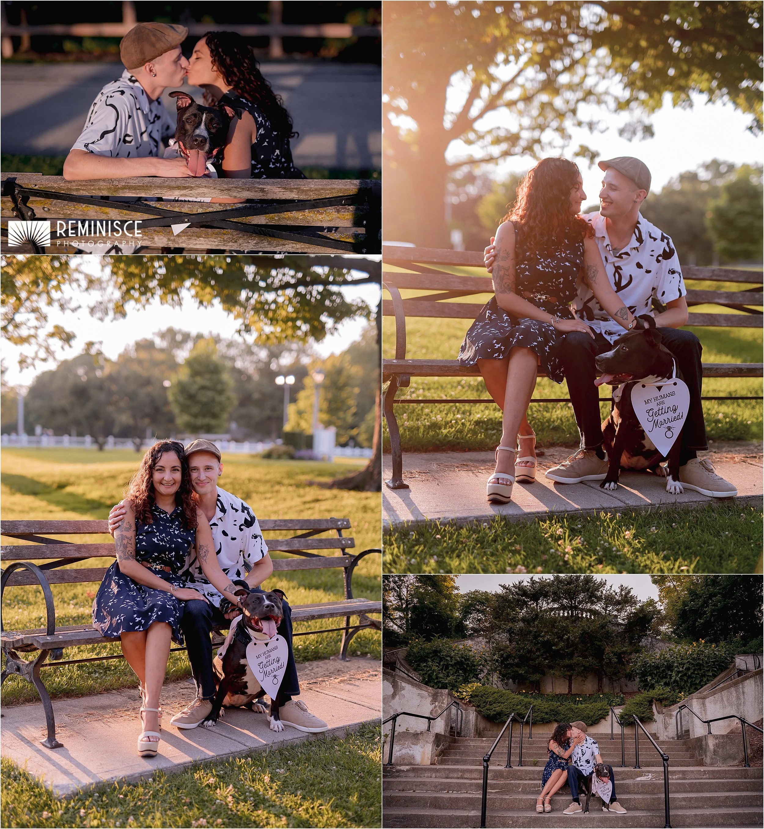 01-couple-seated-bench-with-dog-artistic-fun-golden-hour-engagement-photos-lake-park-milwaukee-wi.JPG