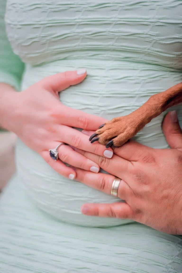23-maternity-portrait-photography-dog-paw-dad-mom-holding-baby-bump.jpg