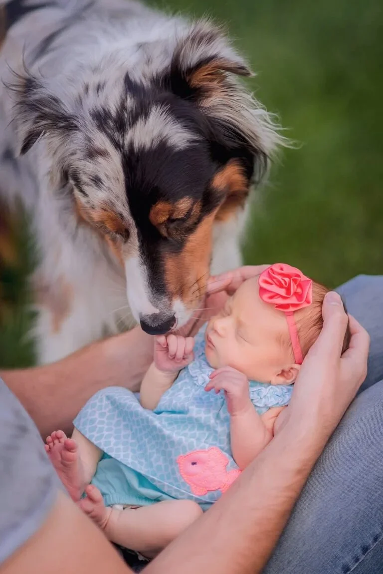 75-candid-newborn-photographer-baby-kissed-family-dog-outside.jpg