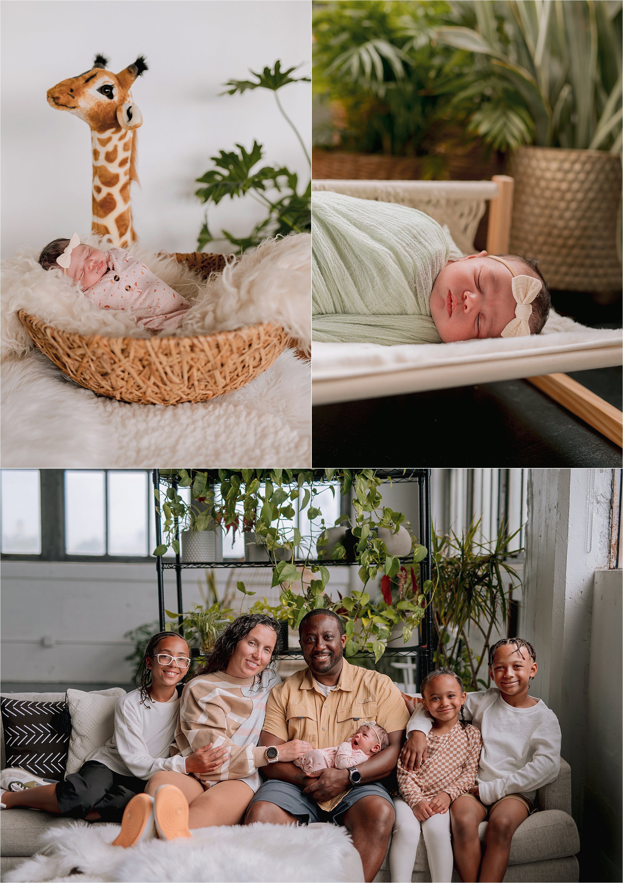 Newborn baby posed in a natural light studio with soft textures and plants during a studio newborn photography session