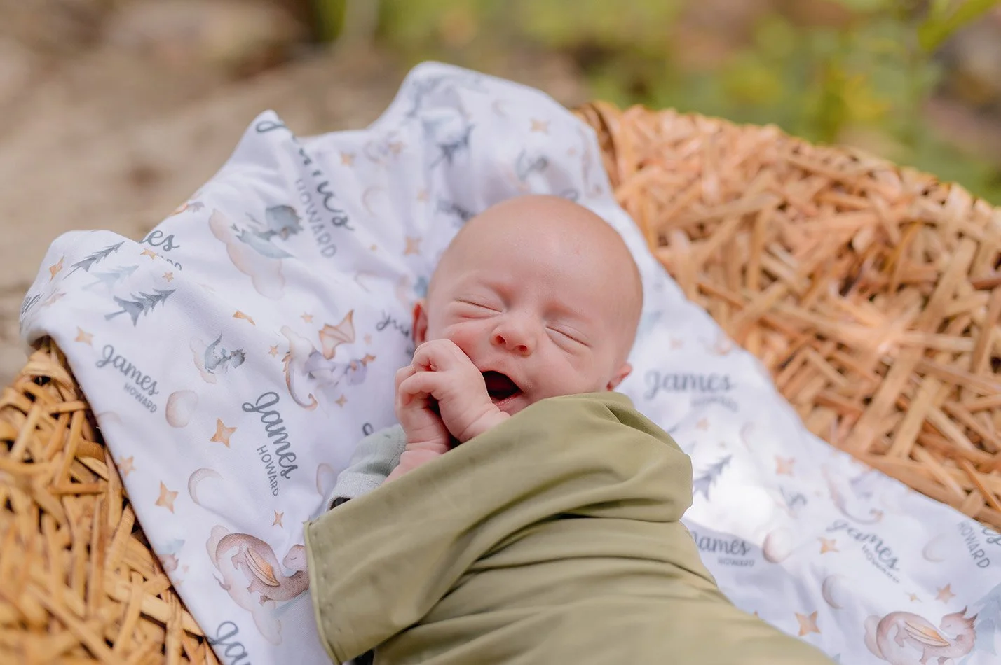 Newborn baby wrapped in a soft green swaddle resting in a woven basket during an outdoor Milwaukee newborn photography session