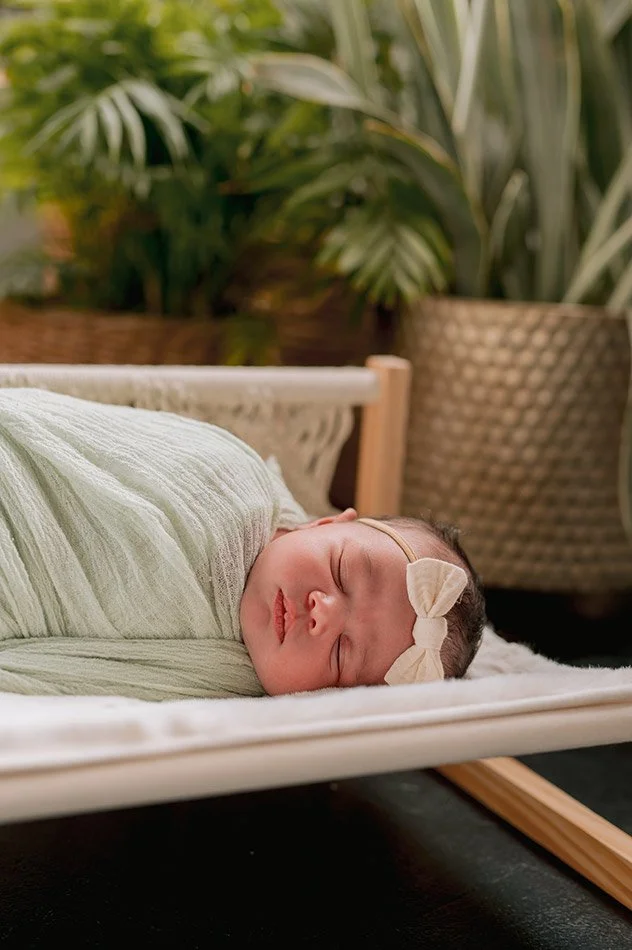 milwaukee-studio-newborn-photographer-baby-bed-plants.jpg