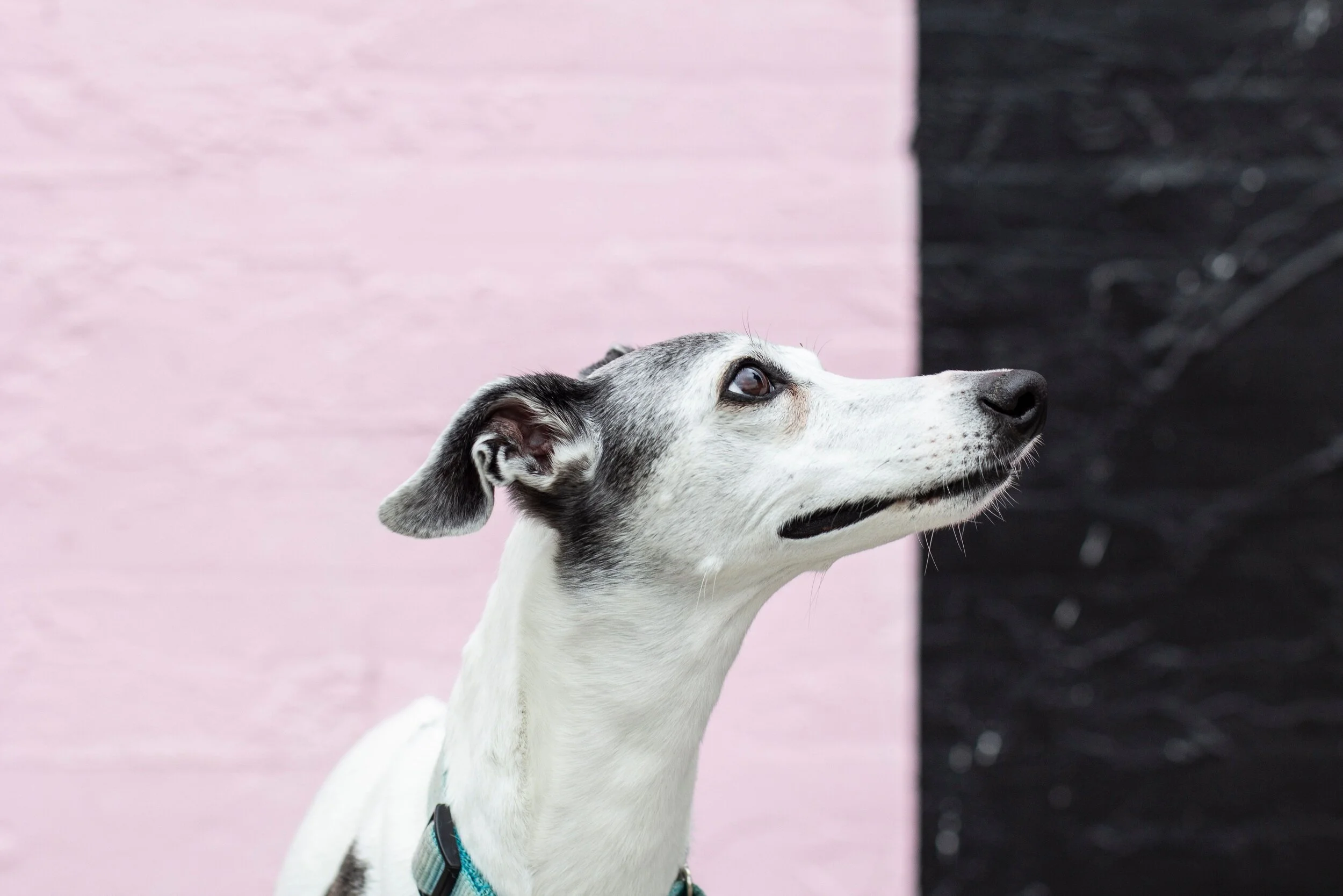 Photo by Catherine Minois