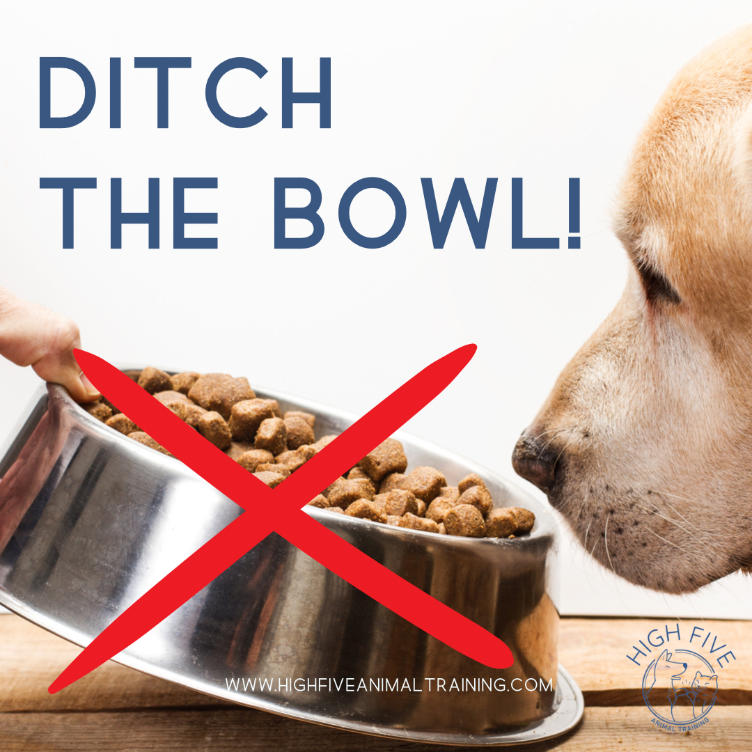 Ditch the bowl