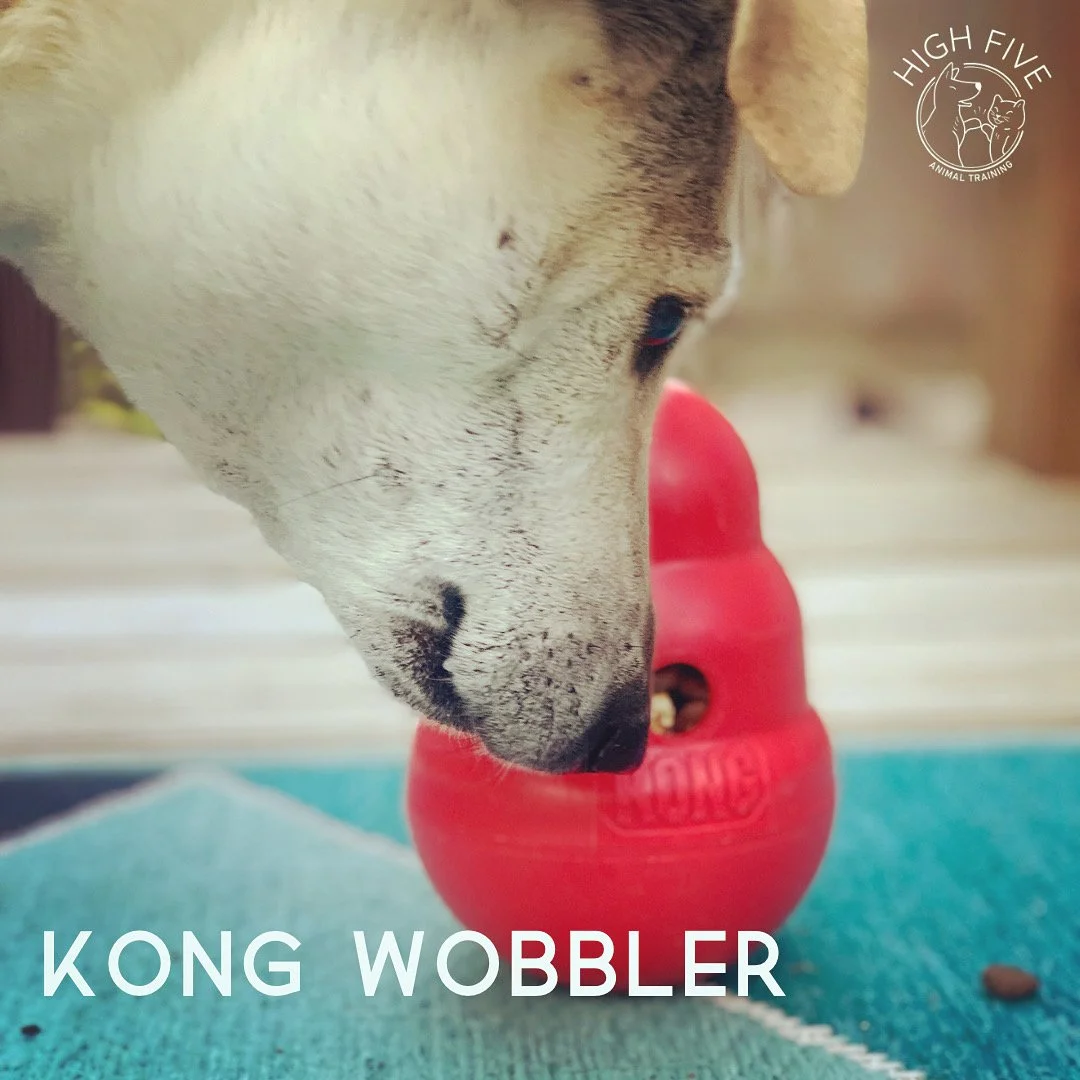 Ditch the Bowl - The Kong Wobbler