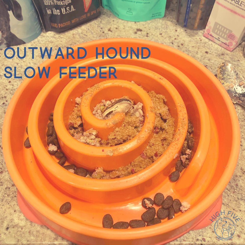 Outward Hound