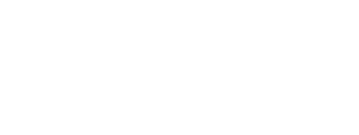 Bravo Niagara