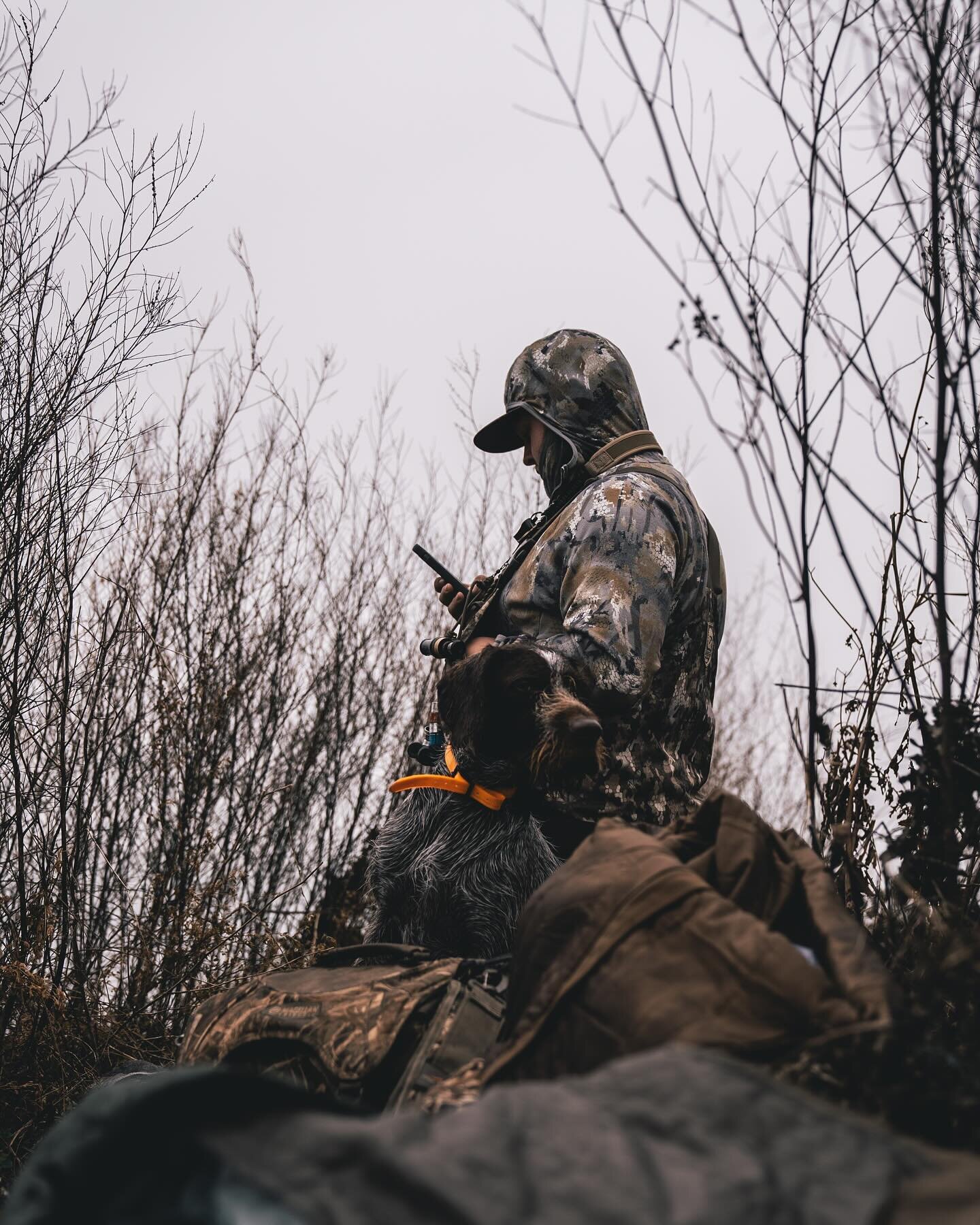 🕵️&zwj;♂️🦆

#duckhunting #duck #sitka #sitkagear #sitkawaterfowl #diverge12 #hunting #waterfowl #divebomb #dog #benelli #sony #fx3 #northdakota