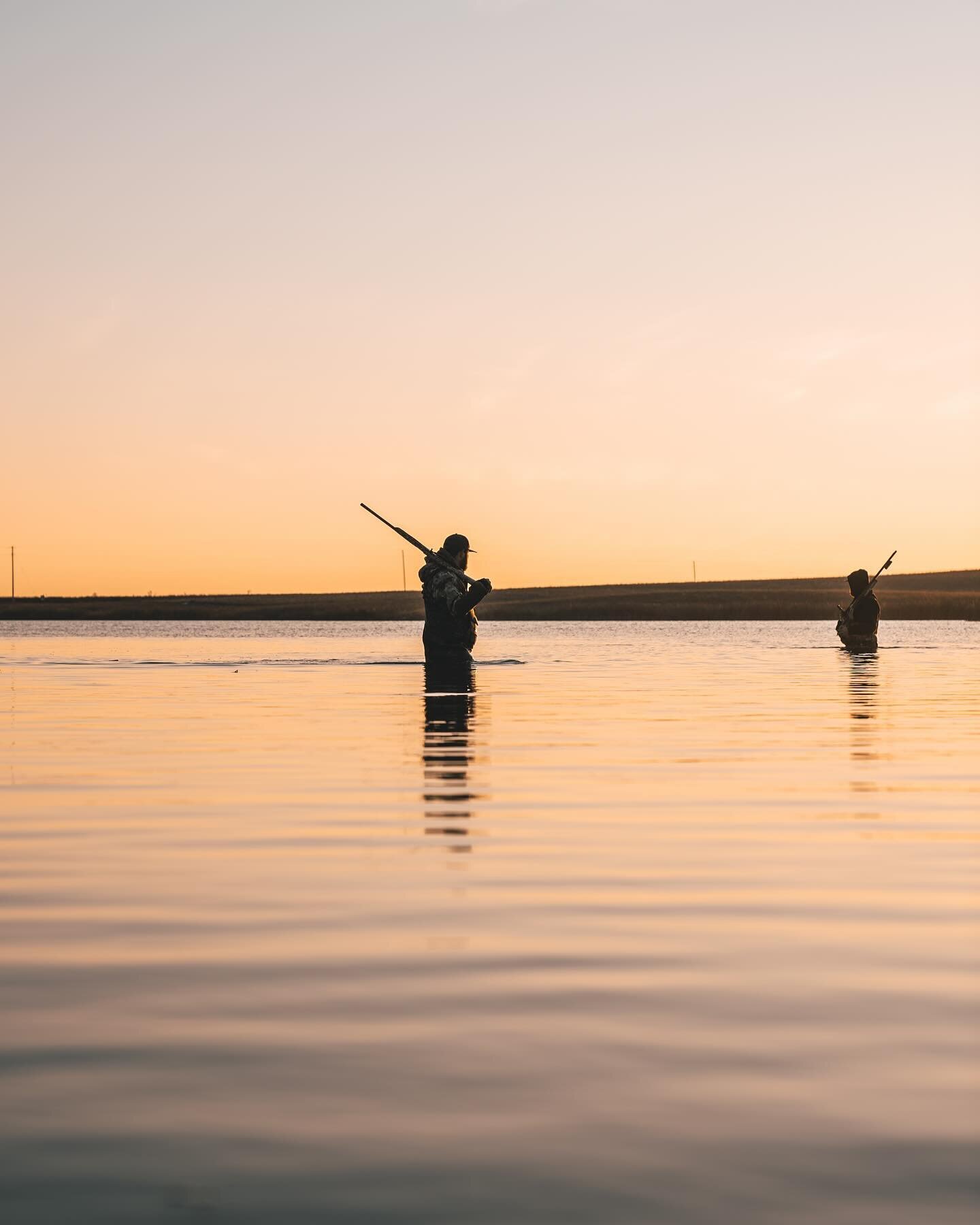 🌊 

#duckhunting #duck #sitka #sitkagear #sitkawaterfowl #diverge12 #hunting #waterfowl #divebomb #dog #benelli #sony #fx3 #northdakota #goretex #optifade #timber #sunrise #photography #duckdog #duckcalls #builtforthewild