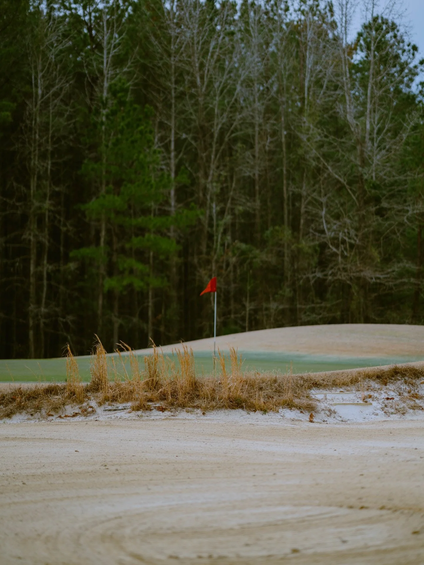 Winter weather is hanging around but Spring will be here before we know it.