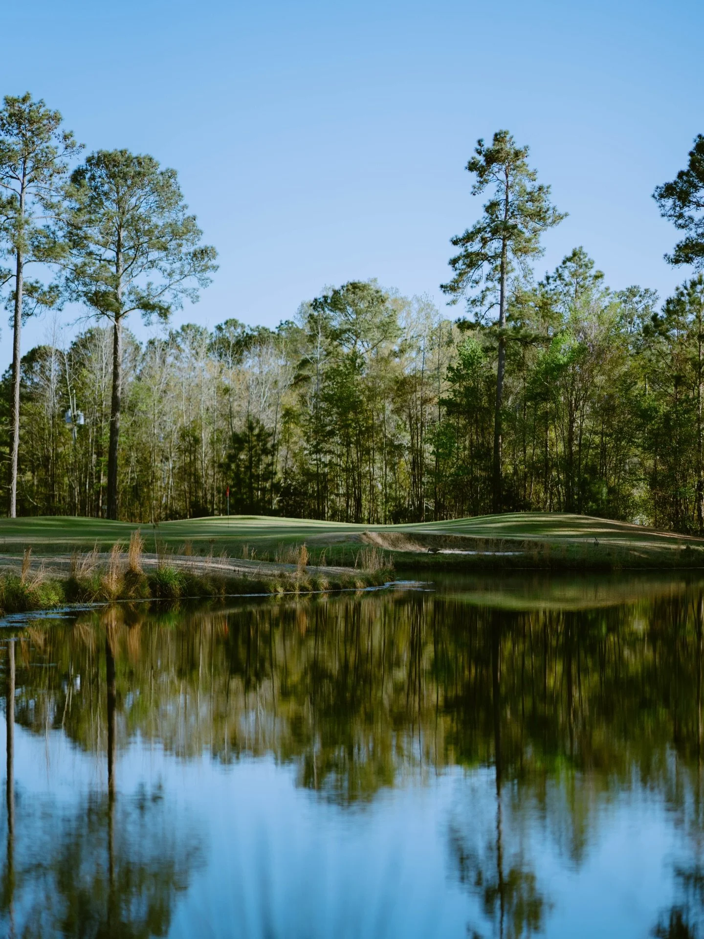 Sun is shining and temperatures are (slowly) rising. A good day for some golf.