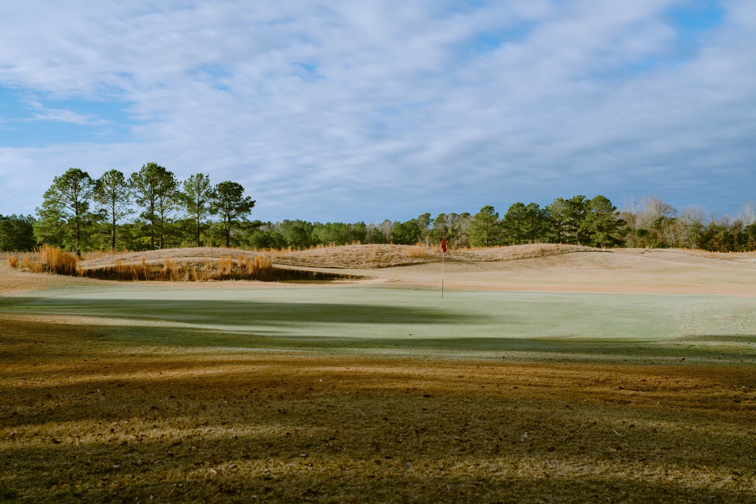 A golf course green with a flag, surrounded by trees under a partly cloudy sky.
