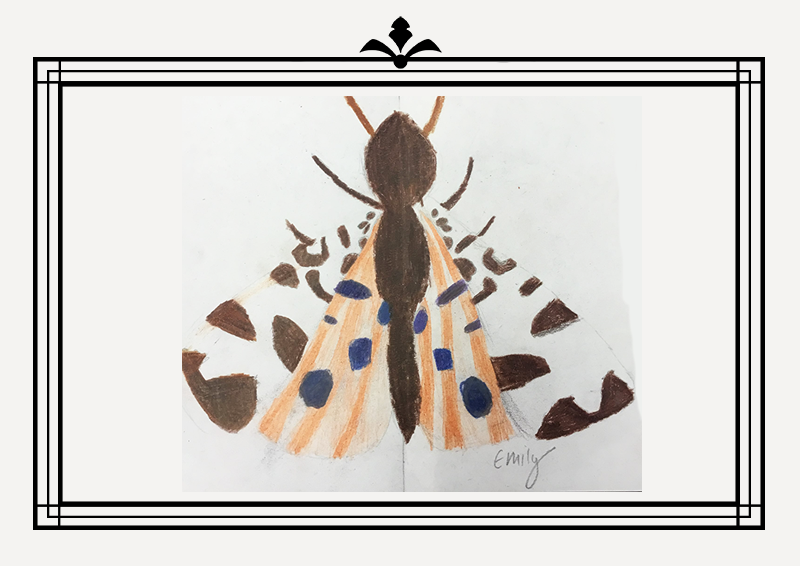 Gallery12.png