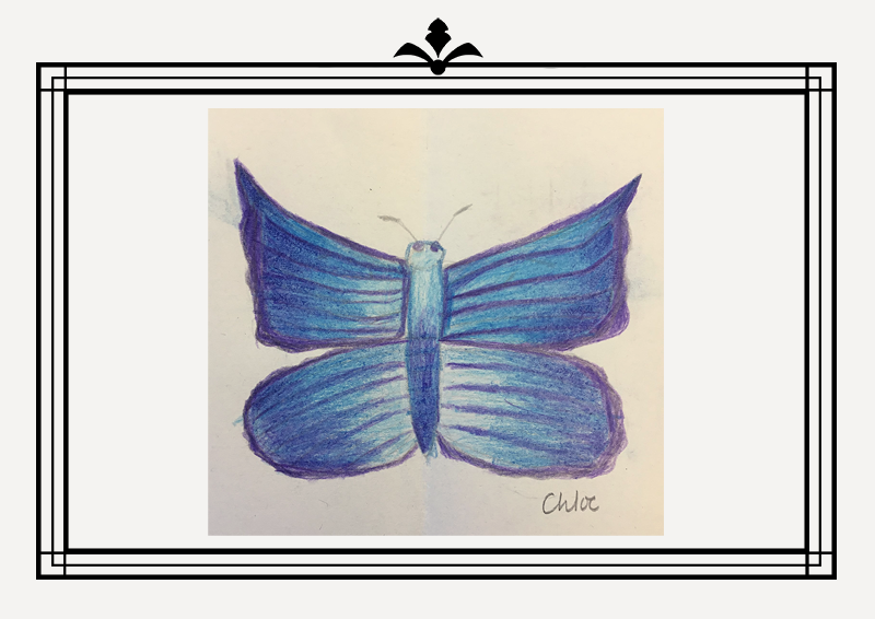 Gallery04.png