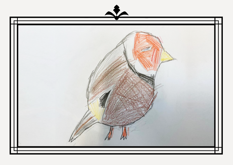Gallery28.png