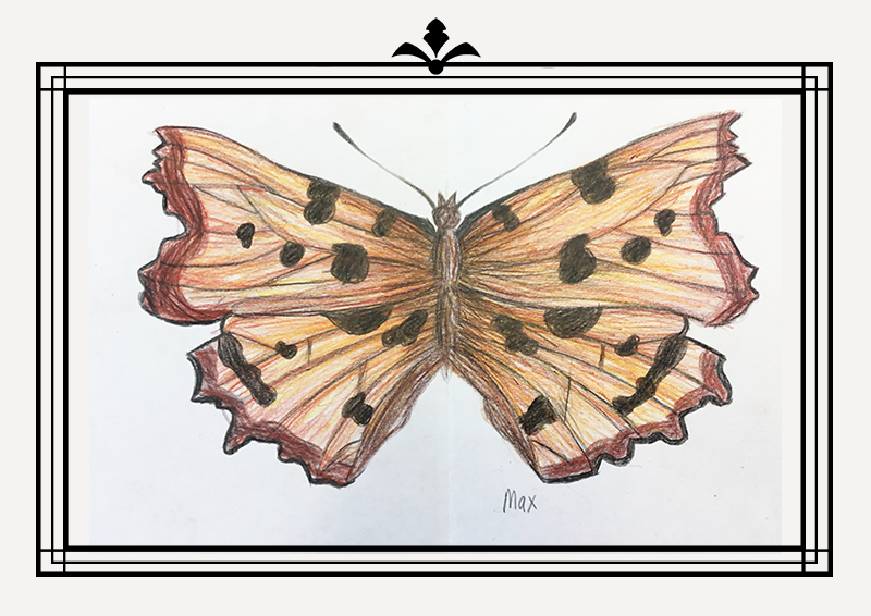 Gallery06.png