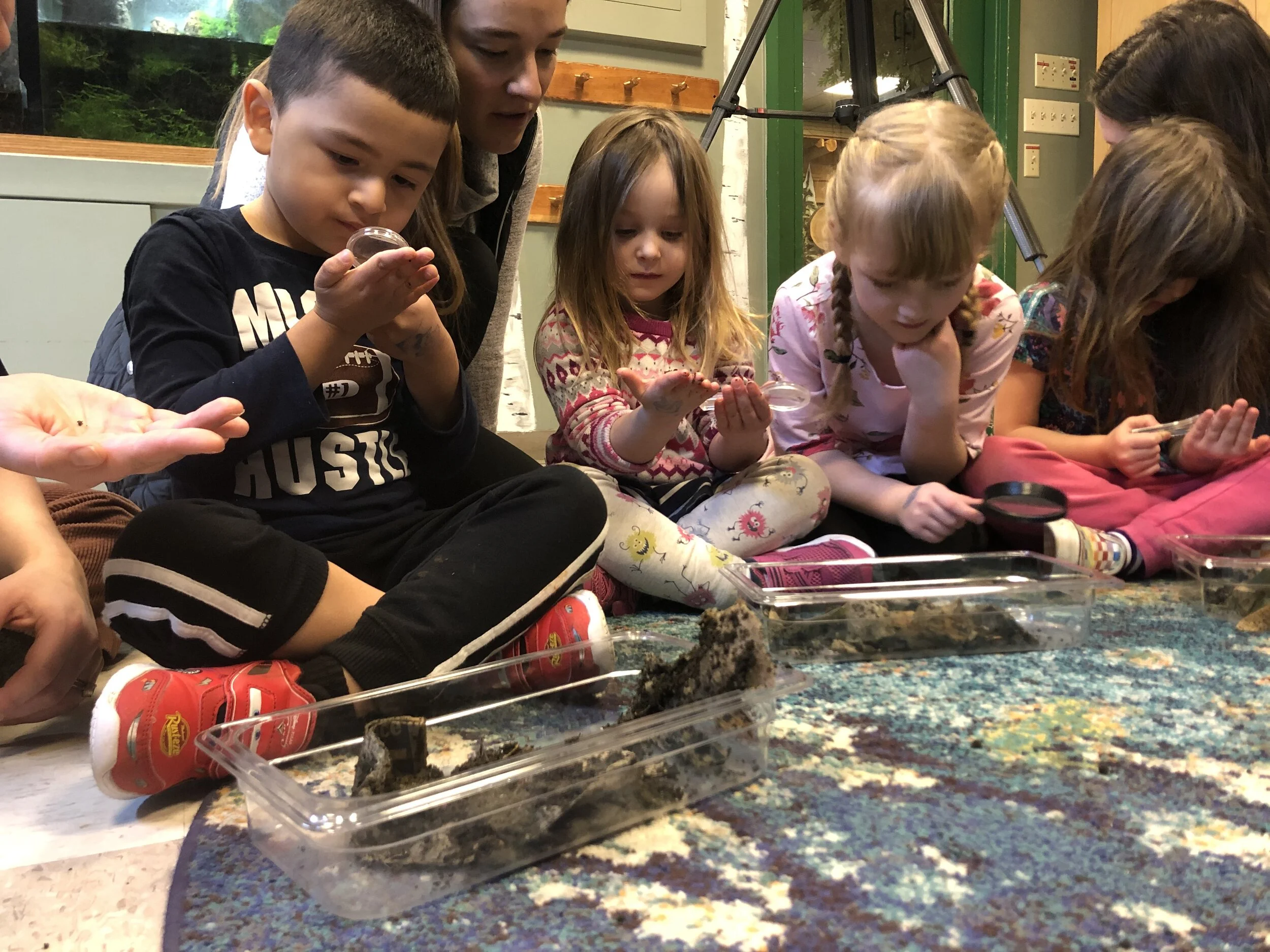 Check out Worm Wednesday at Maine Children's Museum in Portland