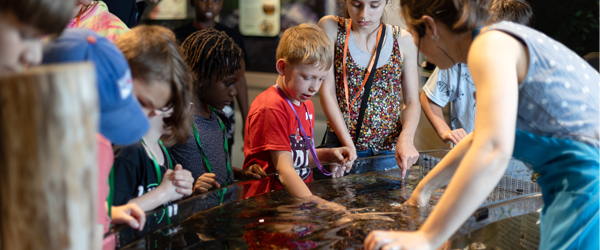 Kids gather around the aquarium touch tank on a school visit. Some kids hands are in the water while the educator is wearing a microphone and teaching the kids about different objects in the water.