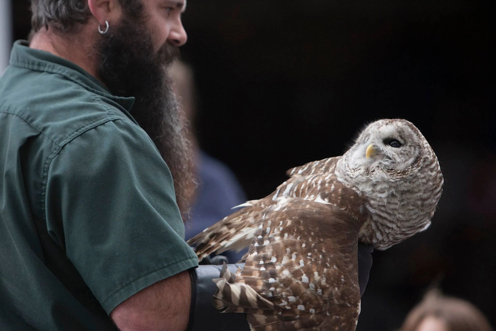 February Break: Special Guests at CMTM