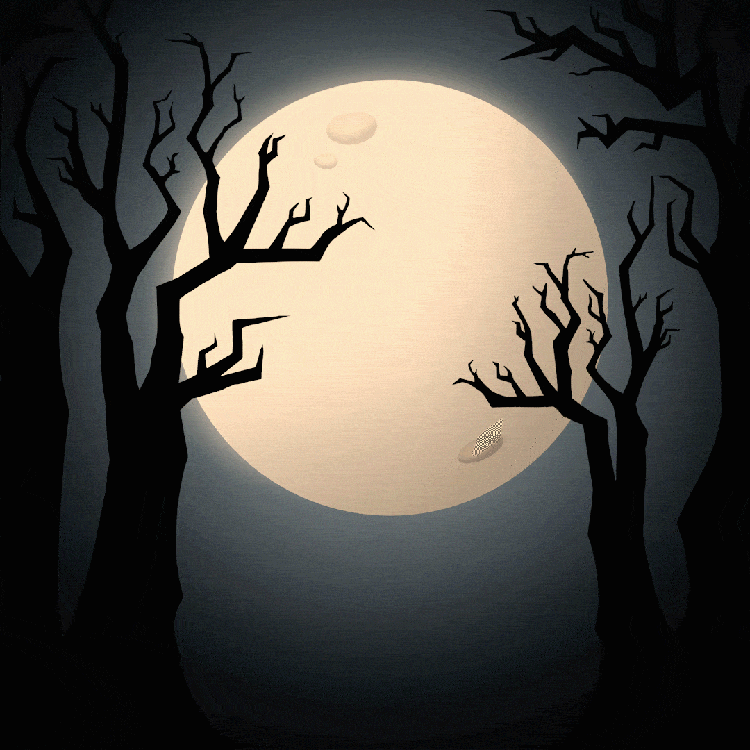 bat_halloween_1x1_notext (1).gif