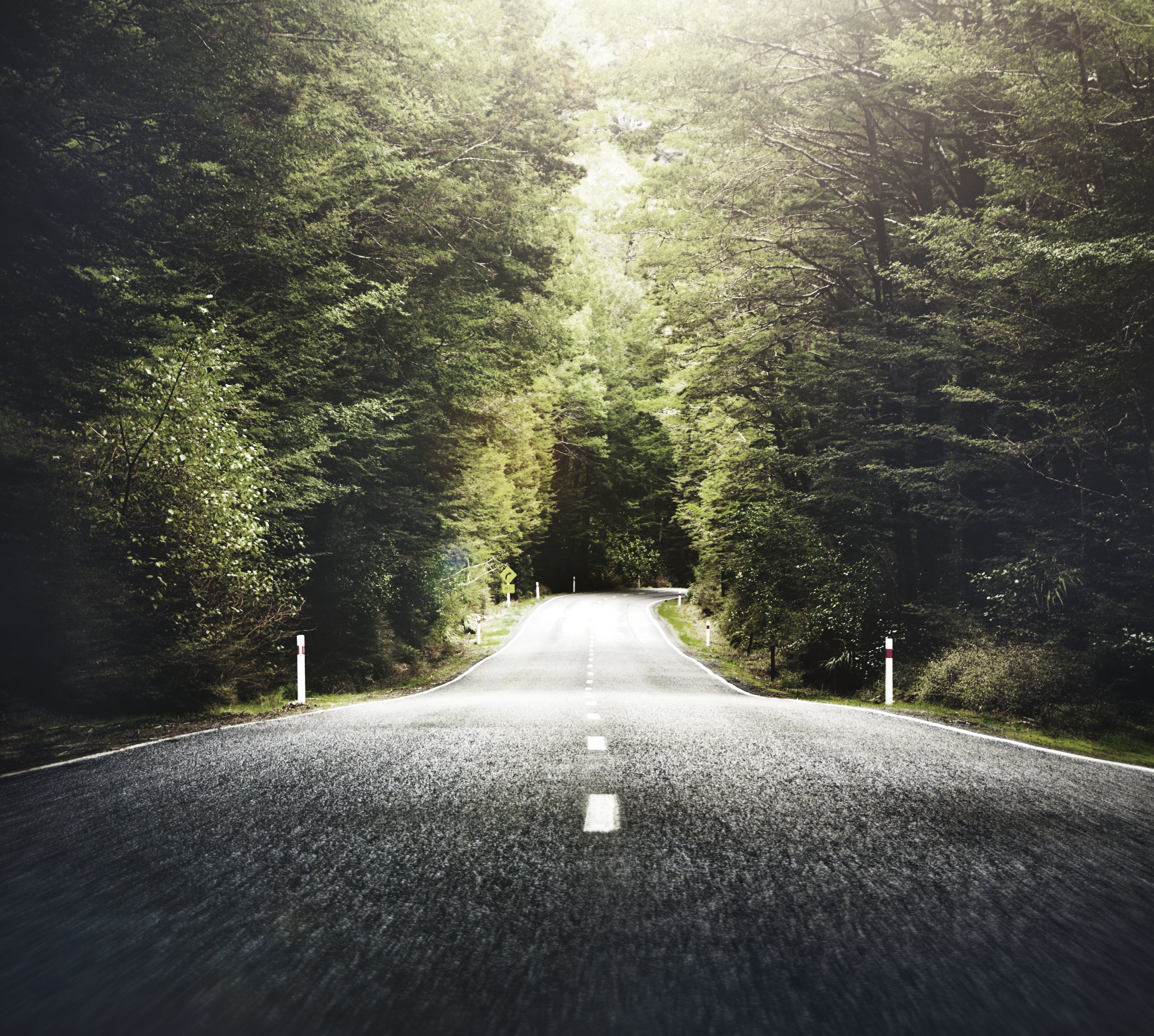 Road to Reinstatement